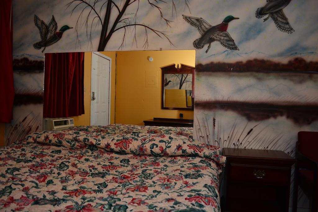 Everkleen Motel Downtown 圣安东尼奥 客房 照片